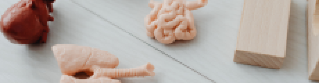 Cara Menjaga Kesehatan Paru-Paru Di Lingkungan Berpolusi