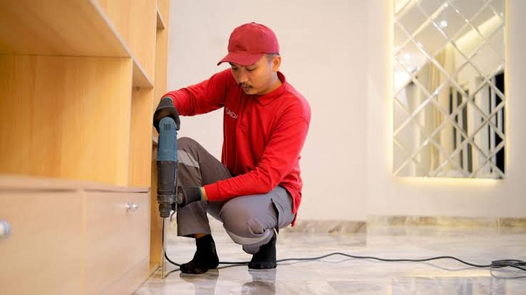 Rayap Mulai Menyerang Rumah? Kenali Tanda Dan Cara Mencegahnya Sejak Dini