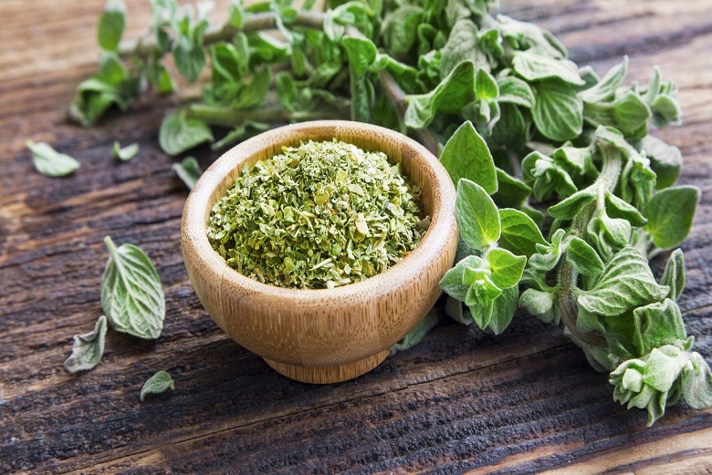 Manfaat Rempah Oregano bagi Kesehatan Tubuh