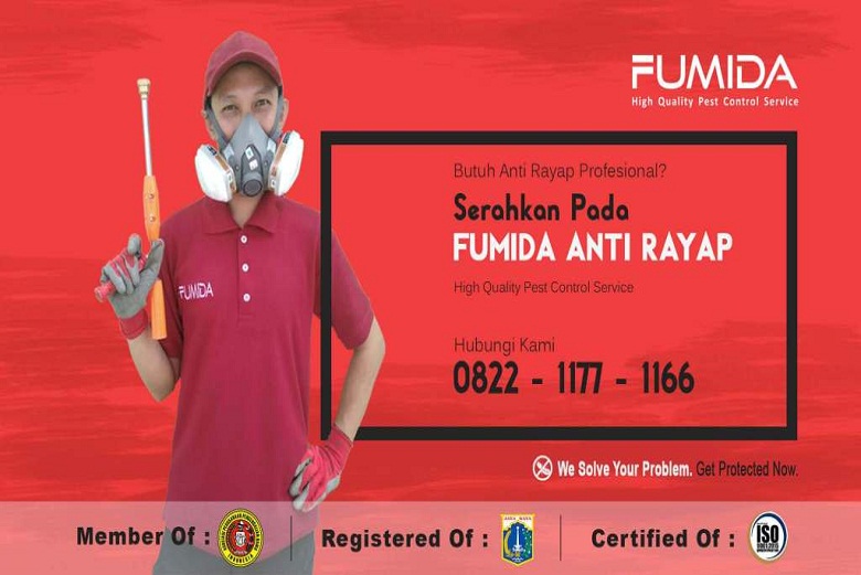 Keunggulan Menggunakan Jasa Anti Rayap FUMIDA