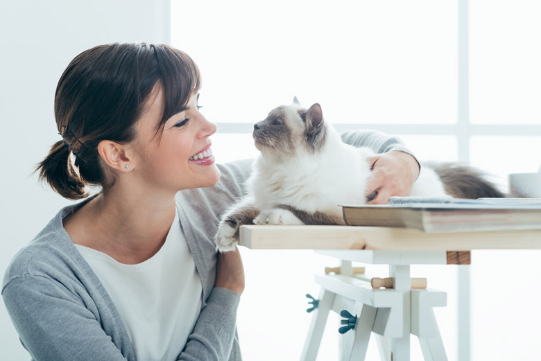 Cara Atasi Alergi pada Bulu Kucing