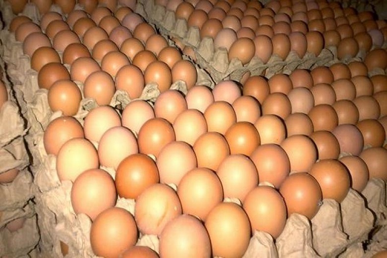 Faktor yang Menyebabkan Harga Telur Berada di Kisaran Rp 21.000 - Rp 23.000 per Kg
