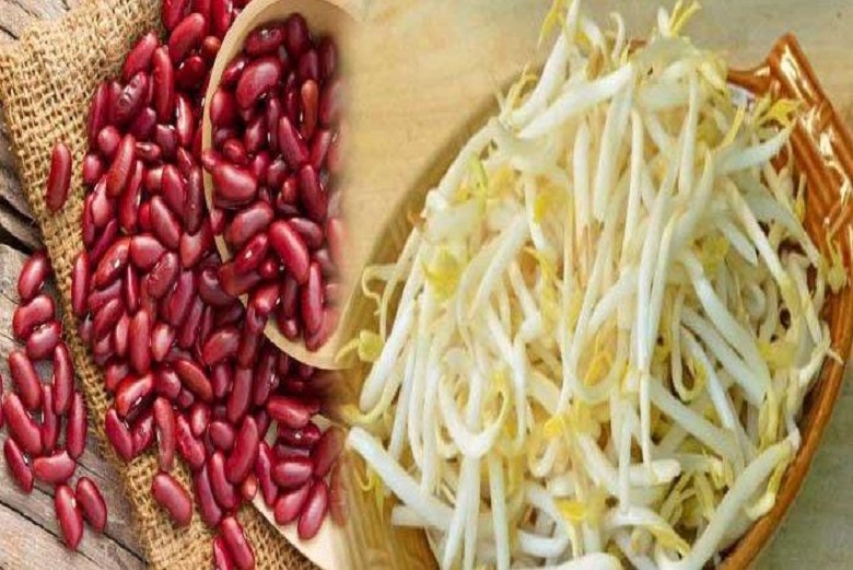 Beberapa Jenis Makanan yang Tidak Boleh Dikonsumsi Mentah