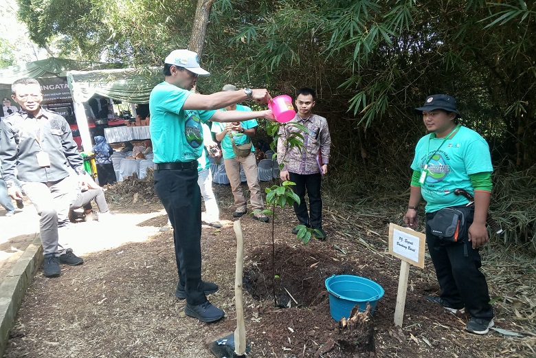 Peran Strategis Dinas Lingkungan Hidup dalam Menjaga Kelestarian Alam