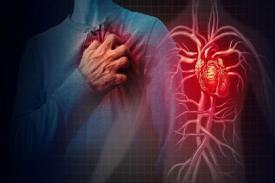 Gambar Artikel Jangan Disepelekan, Kenali Gejala 3 Penyakit yang Disebut Paling Berbahaya di Dunia