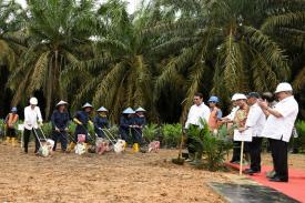 Gambar Artikel Jokowi akan Resmikan Proyek Replanting Kelapa Sawit yang Tertunda