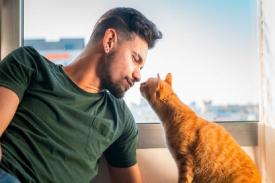 Begini Cara Kucing Mengungkapkan Rasa Cinta pada Anda 