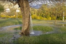 Langka Nan Aneh, Batang Pohon Kucurkan Air Terjun