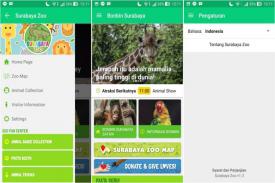 Surabaya Zoo Makin Menarik Dengan Fitur Donasi Hewan Langka