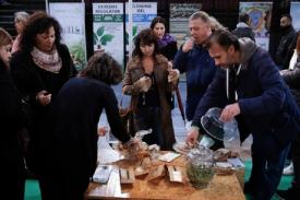 Yunani Selenggarakan Pameran Ganja Pertama Kali untuk Ajang Berinovasi