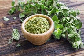 Gambar Artikel Manfaat Rempah Oregano bagi Kesehatan Tubuh