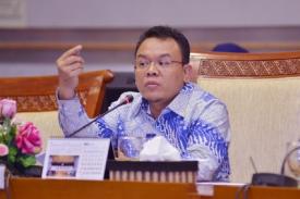 Politisi PAN : &quot; TKA Alexis yang Terbukti Ilegal Dideportasi saja&quot;