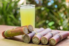 Air Tebu Berkhasiat Menurunkan Berat Badan Namun Tetap Berstamina