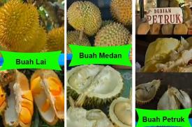 Jangan Lewatkan Pesta Durian Puluhan Jenis yang Dimiliki oleh Indonesia