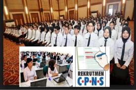 Loker CPNS untuk Pemda dan Pemkot akan Memuncak di Tahun 2018