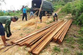 Nunukan: Modus Kelapa Sawit Selalu Munculkan Ilegal Logging