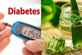 Gambar Artikel Lidah Buaya Obat Herbal Diabetes Melitus 