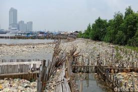 Gambar Artikel Sampah Organik dari Limbah RT Penuhi Teluk Muara Angke, Bagaimana dengan Ekosistem di Sana?