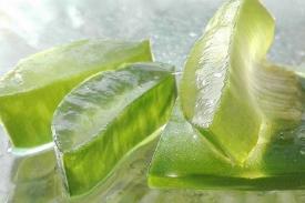 Cara Efektif Memanfaatkan Lidah Buaya untuk Mengatasi Kulit Berminyak