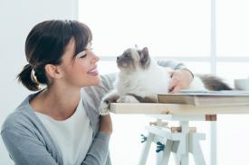 Cara Atasi Alergi pada Bulu Kucing