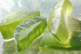Gambar Artikel Bahan Alami yang Dapat Melentikkan Bulu Mata