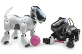 Aibo si Robot Anjing yang Makin Diminati Masyarakat Jepang
