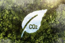 Kendalikan Emisi Karbon Melalui Platform Carbon Trading