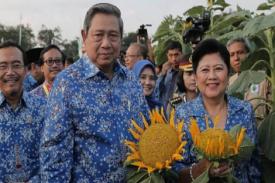 Harmonis: Tiga Resep Berumah Tangga SBY dan Ibu Ani