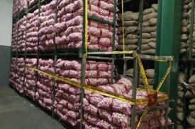 Gambar Artikel Oknum Importir Manfaatkan Naiknya Harga Bawang Putih