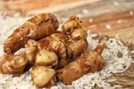 Gambar Artikel Kencur Bahan Alami dengan Segudang Manfaat untuk Kecantikan