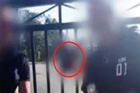 Umat Muslim Australia Mendapatkan Hadiah Kepala Babi di Depan Gerbang Masjid
