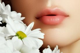 Gambar Artikel Bahan Alami untuk Membuat Bibir Merah Merona