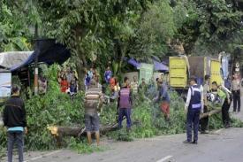 Jalur Pantura Pekalongan Tersendat Akibat Pohon Tumbang