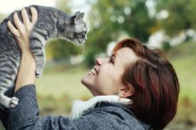 Gambar Artikel Manfaat Memelihara Kucing, Bikin Tenang Hingga Menyehatkan Jantung