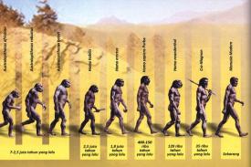 Teori Evolusi Darwin yang selama ini Diyakini, Tiba-tiba Didesak oleh Menteri Pendidikan India